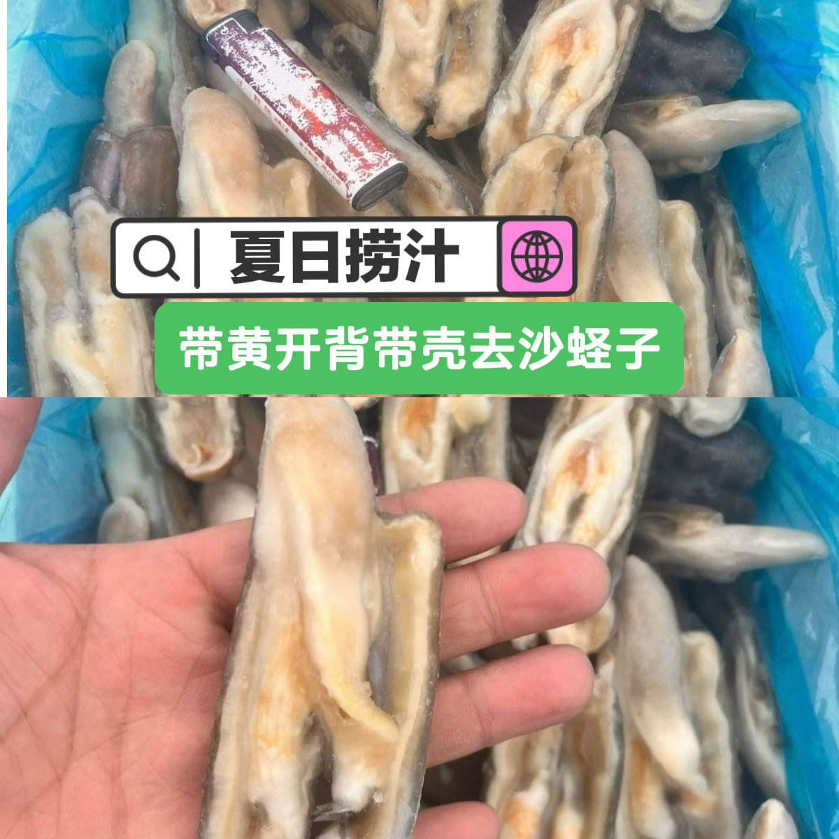 野生速冻无沙开片王肉海鲜贝类冷冻鲜活锁鲜竹节蛏子批发商用自助