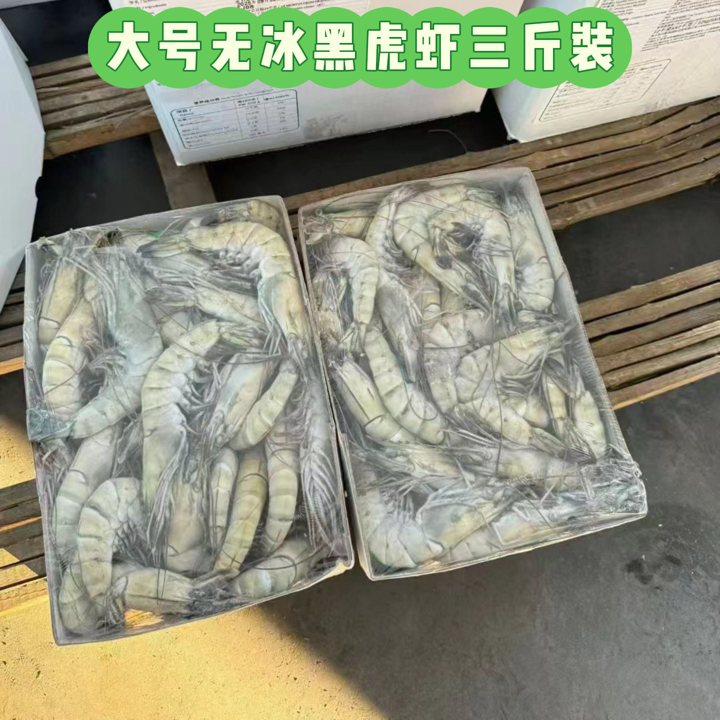 新鲜超大活冻黑虎虾无冰衣老虎虾斑节虾批发商用自助餐饮火锅饭店