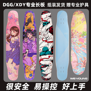 XDY长板 DGG 新手入门长板刷街初学者 平花 全能舞板