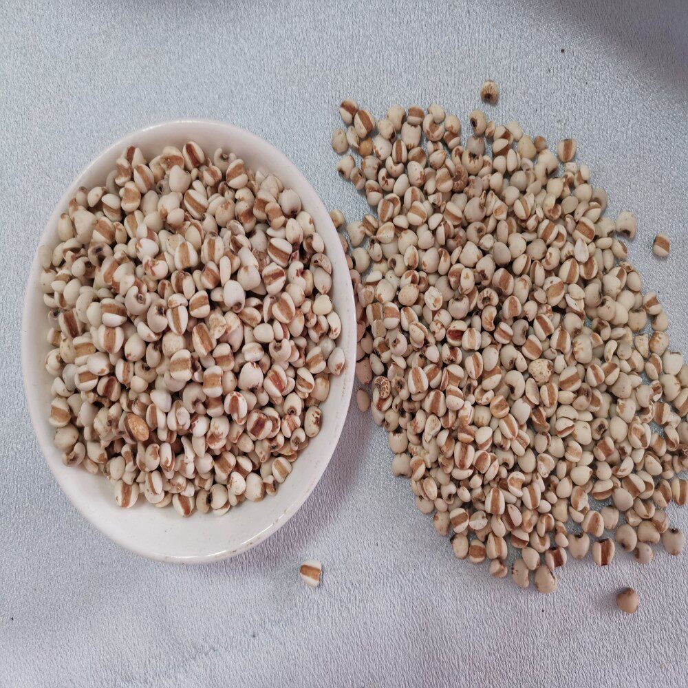 薏米50g 贵州薏米仁50g薏苡仁散装中医 保健 经方木通材料