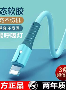 适用于苹果充电线iPhone14/12/13/8Plus/6快充手机ipad带灯数据线