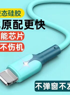 适用于苹果充电线iPhone14/12/13/8Plus/6快充手机ipad带灯数据线
