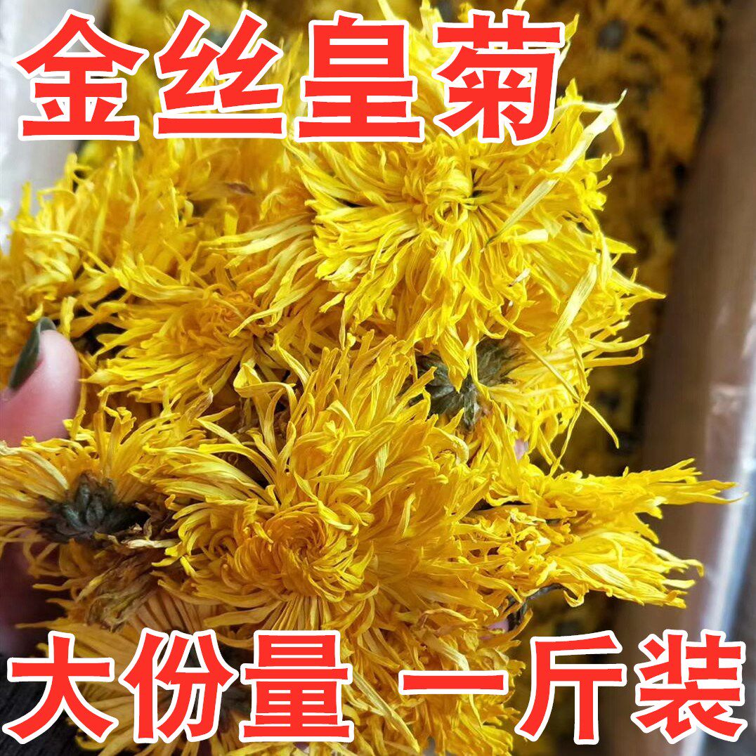 菊花茶菊花金丝皇菊黄菊一朵一杯茶叶花茶贡菊胎菊大去火下火花草