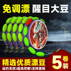 七星漂线组鱼线主线成品传统钓套装大号浮漂高灵敏溪流野钓鲫鲤鱼