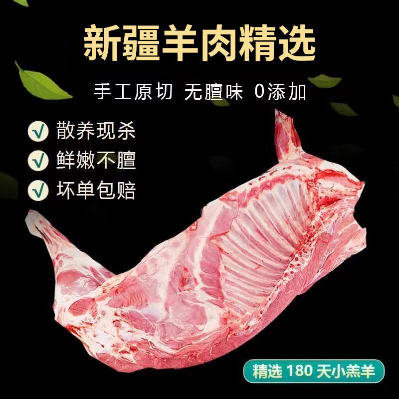 新疆阿勒泰大尾羊 羊腿肉羊肋排3斤草原散养新鲜现宰原切火锅包邮