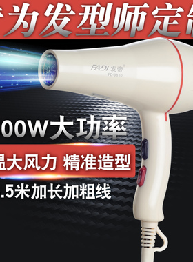 发帝9810黑白电吹风机发廊专用