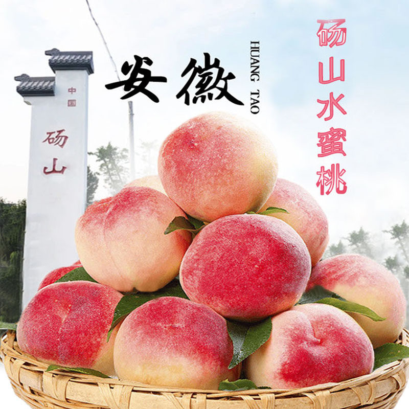果园直发 砀山水蜜桃新鲜水果应当季脆甜毛桃子安徽突围大软桃5斤