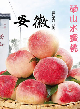 果园直发砀山水蜜桃新鲜水果大桃