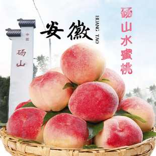 果园直发 砀山水蜜桃新鲜水果应当季脆甜毛桃子安徽突围大软桃5斤