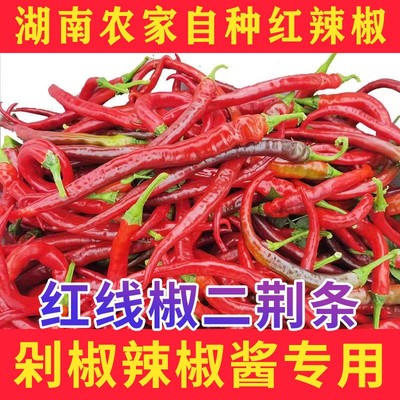 湖南本地农家自种新鲜红辣椒薄皮现摘现发二荆条中微线椒泡菜剁椒