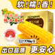 东北农嫂黄糯玉米棒1.6kg 8根香糯粘吉林软糯香吉林原产出口品质K