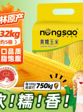 东北农嫂糯玉米香甜糯玉米穗段粒免切方便吉林原产低脂饱腹早餐B