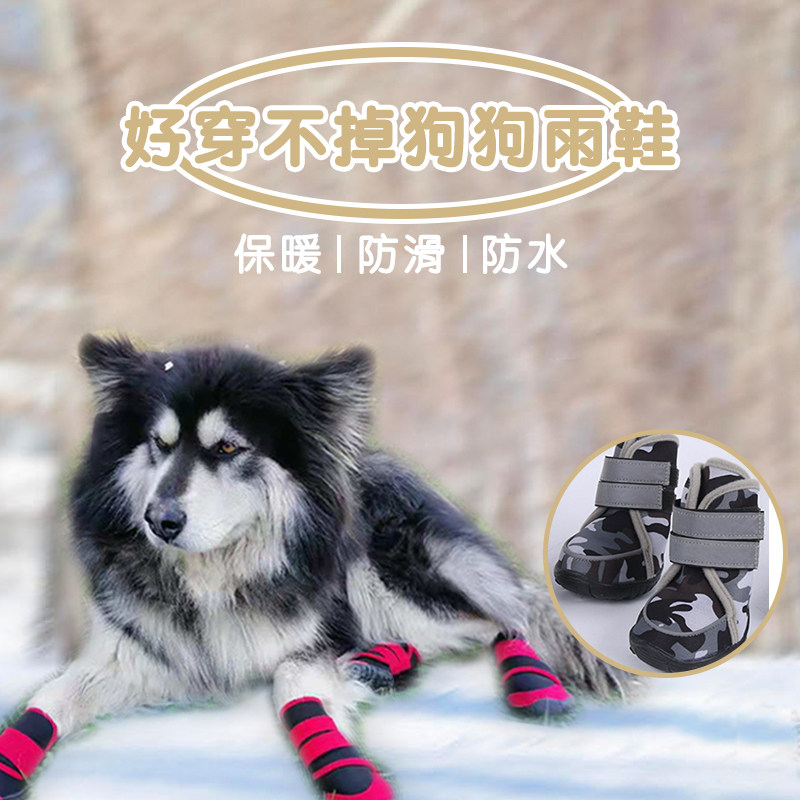 泰迪宠物狗狗网面透气鞋图片