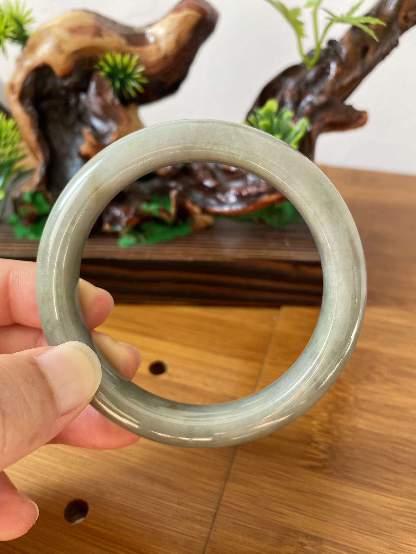 自然光天然缅甸a货豆种豆绿色冰感正圈翡翠手镯