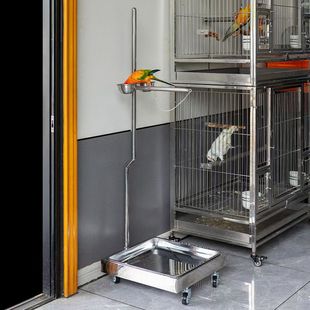 不锈钢中型用鹦鹉站架 适配金太和尚凯克吸蜜等中型专用落地展用