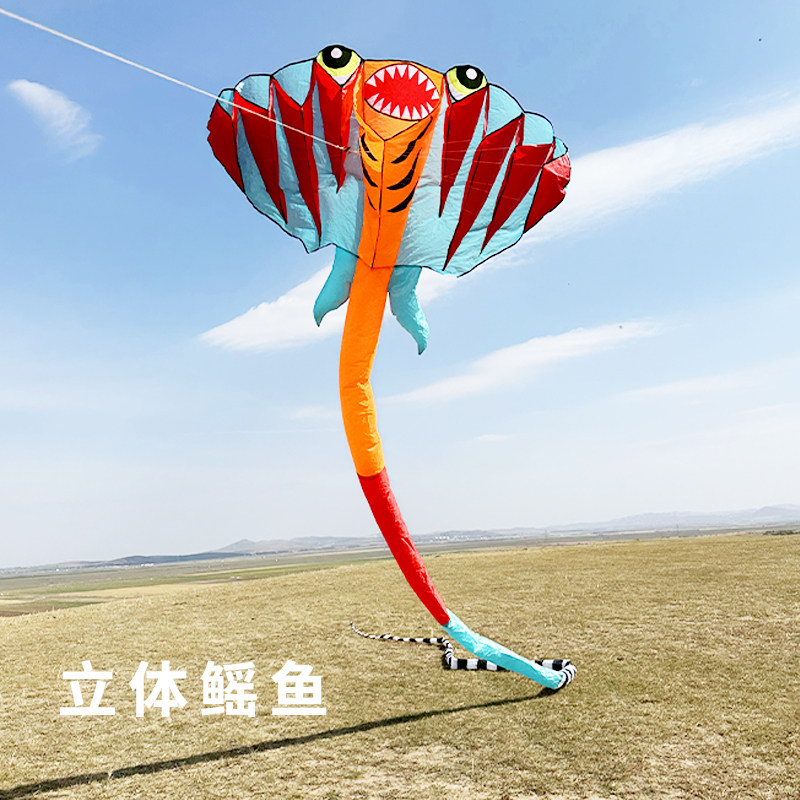 潍坊风筝 大型立体鳐鱼风筝 高档软体无骨架风筝 初学者好飞易飞