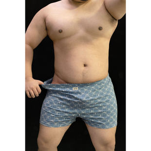 阿基内裤 男士棉内裤运动格子四角裤棉平角裤宽松薄款透气阿罗裤