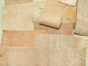 角弓装饰用品真桦树皮