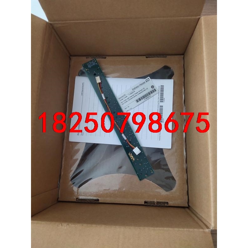 E+H  CA80AM 活塞电机定位光栅，货号：714650议价