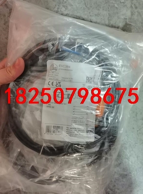 IFM易福门EVC384全新原装正品议价