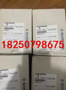 SRB504ST-24V施迈赛SCHMERSAL门监控安全继议价