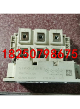 GD300MLT65C2S GD300MLX65C2S 原装议价