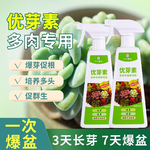 优芽素多肉促进多肉植物的细胞分裂促进侧芽形成培养多八个老头