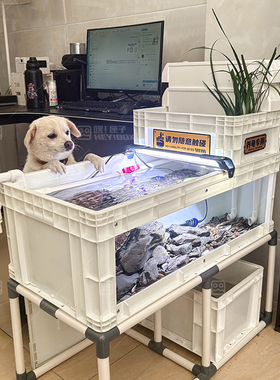 大尺寸乌龟生态缸饲养龟缸可视周转箱乌龟箱大龟养龟专用箱鱼缸