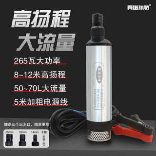 12V电动柴油抽油泵抽水泵大功率抽药泵24V小型潜水泵220V抽油神器