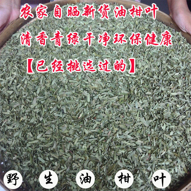 枕头油柑叶5斤包邮干净