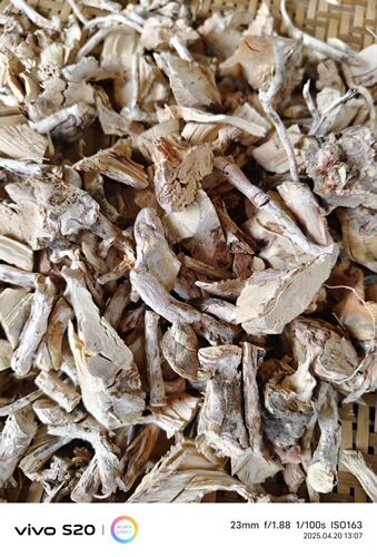 干品野牡丹纯根现挖山石榴野牡丹全草大金香炉猪古稔500克包邮