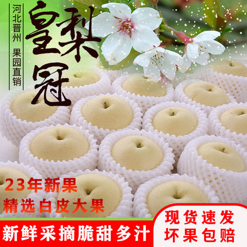 梨新鲜梨子特级新鲜当季水果