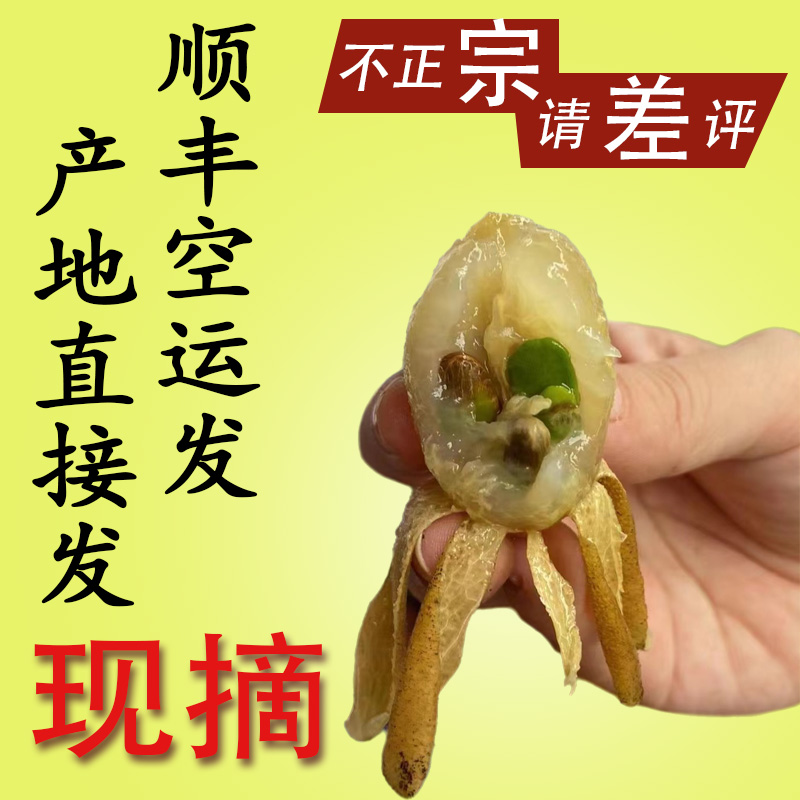 海南鸡心黄皮新鲜水果坏果包赔