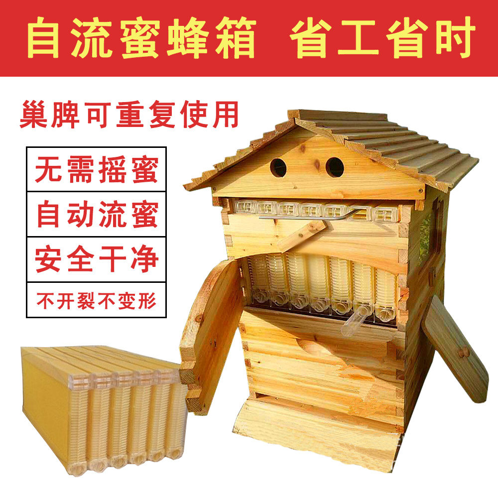 益精自流蜜蜂箱  煮蜡蜂箱含隔王板自动取蜜蜂箱 衫木蜂箱包邮
