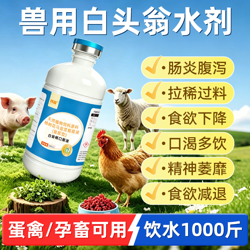 兽用白翁畅口服液禽用白头翁止痢猪牛羊腹泻红黄白痢拉稀保护肠道