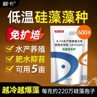 硅藻藻种硅藻种源水产养殖小球藻鱼虾塘复合藻种低温肥水培藻