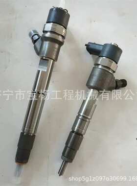 0445110808共轨喷油器0433172557 0445110515喷油嘴总成