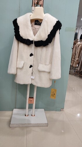 进口天鹅绒整貂母貂皮本色帕斯条学院风海军领时尚减龄SP00474