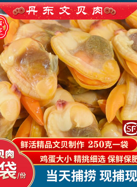 丹东特产大文贝肉大黄蚬子肉新鲜文贝蛤蜊肉肥蛤肉鸡蛋大小顺丰