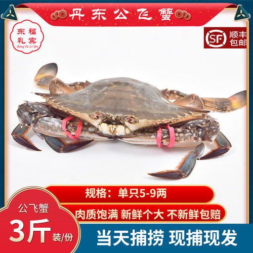 丹东野生大飞蟹梭子蟹满膏满肉