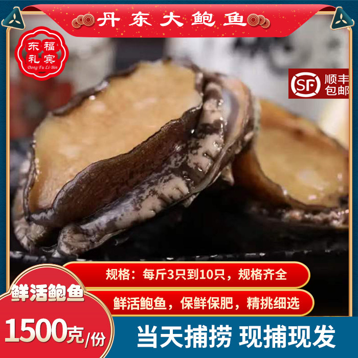 丹东鲍鱼鲜活海鲜大鲍鱼海鲜新鲜小岛海捕鲍鱼活鲜顺丰包邮