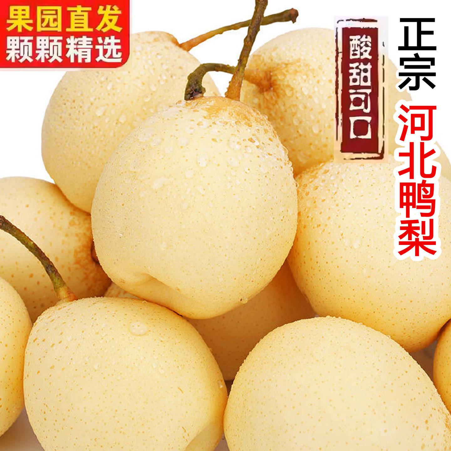 正宗河北鸭梨子新鲜水果10斤水晶梨苹果梨当季水果雪梨产地包邮,水产肉类/新鲜蔬果/熟食,梨,淘宝优惠券,粉丝福利购,淘宝优惠卷