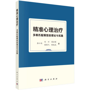 针对性干预方法互动方式 精准心理治疗 心理医生心理咨询师干预治疗工作参考书 理论与实践 治疗体验案例经验书 多维匹配模型