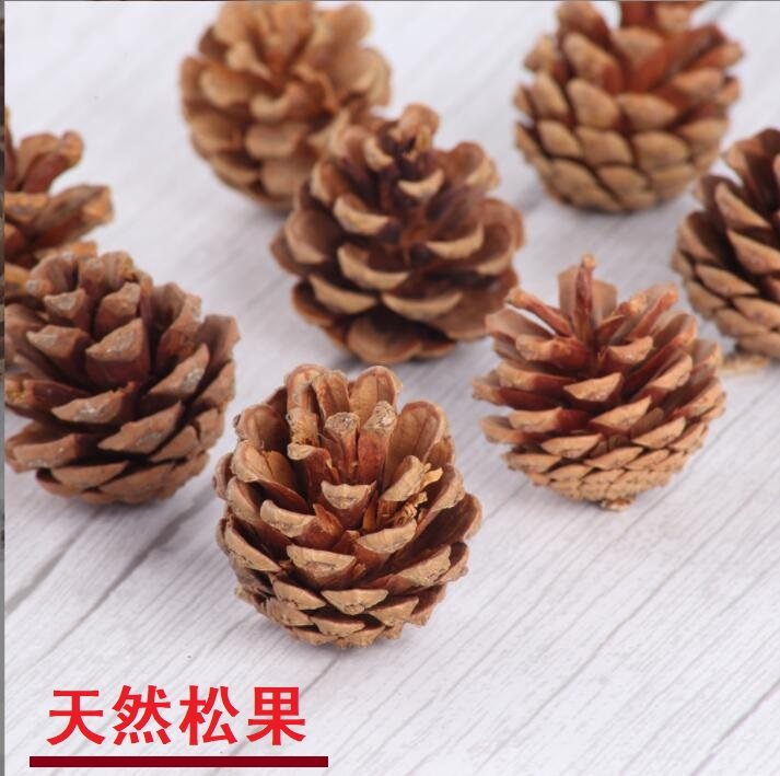 松果干花圣诞节装饰手工DIY材料包道具花环配件天然圣诞松果包邮