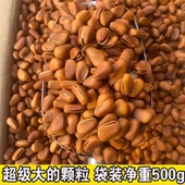 新货东北松子开口松子超大颗粒零食干货炒货散装 称重年货