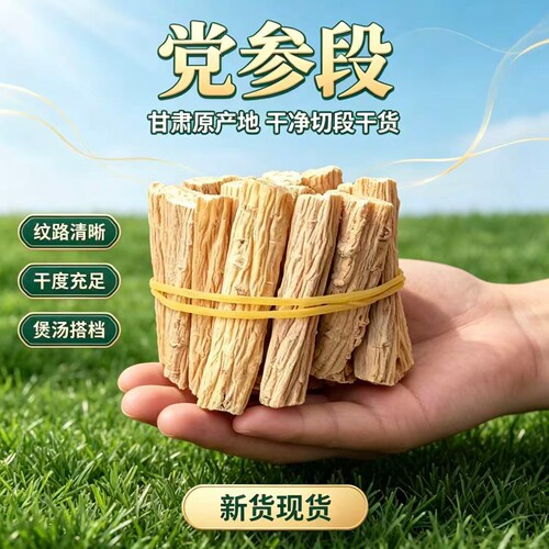 甘肃原产地党参段干净切段煲汤