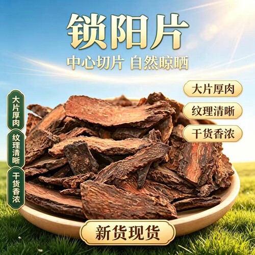 锁阳片500g厚肉香浓泡酒料