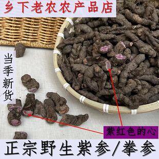 正宗野生紫参/拳参/草河车甘肃特级无硫中药材纯天然原生态