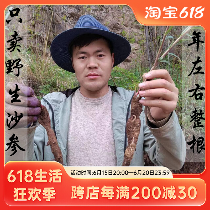 纯野生沙参 甘肃漳县野生泡参500g包邮 运费险 深山南沙参