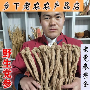 野生党参 甘肃漳县老党参干货 精选特级大条无硫野党煲汤煮肉散装